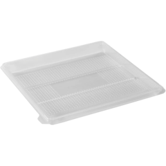 1625008810201 Form Zen Transp 250x250x20mm*