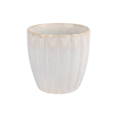 BI4179024 Mugg Astera Pure 24cl