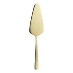 AI14653 Raw Tårtspade rostfri