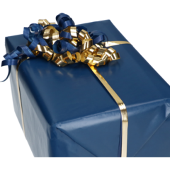 FP440222 Presentpapper Dubbel Blå/Rost