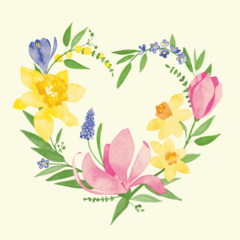 AM99685 Servett Laura Linclass