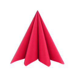 AM87879 Servett Basic Röd 48x48 cm