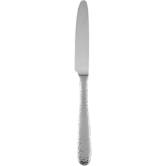 C1601050000 Bordskniv Fortessa Apollo 234mm