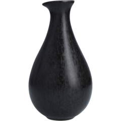 D7305210000 Karaff Sound Midnight 45cl