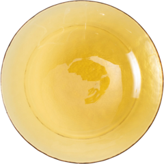 UT21 Fortessa Essenza Tallrik 21cm