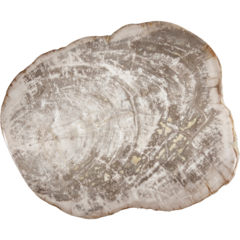 UT100 Uppläggningsfat Träd Fortessa