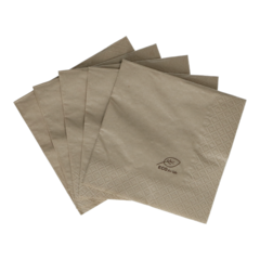 1242350 Servett Brun Eco 2-Lag 24x24cm