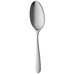 11NORDM205 Serveringssked Nordica Satin