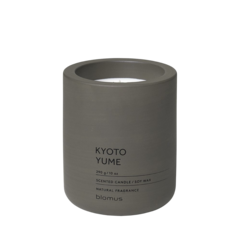 BL65953 Doftljus Kyoto Yu Tarmac 55h