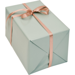 4400217 Presentpapper Green Pastel