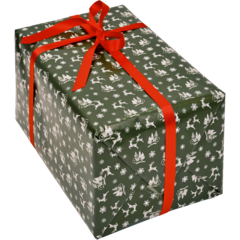 4406873 Julpapper Cozy Winter