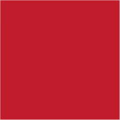 119197311 Serviett Dunilin Rød 48x48 cm*