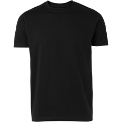 SA0120 T-shirt South West Basic