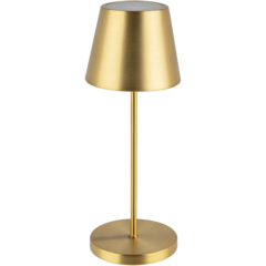 AP17008 APS Merle Bordlampe USB