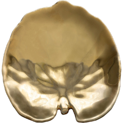 CON22710 Tallrik Riviera 18x17 cm Guld