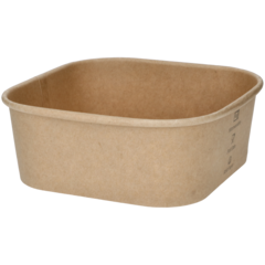 521235 Food Container Hot & Cold Nature 1100ml