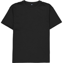 PKM3142 T-shirt Unisex Prowear Alex