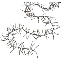 GK3862100 Cluster Fairy Lights Warm White 5.8m