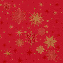 119211542 Duni 3-lags Serviett Stargazin