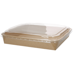 8700201 Good To Go PET Lock 26x26cm