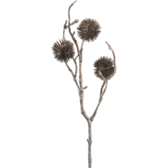 BI696196 Konstväxt Echinopblomma 33cm