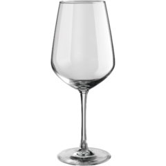 AN413060 Vinglas Anima Winery 53cl