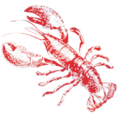 119223743 Servett Bio Dunisoft® Sea Delights 40x40cm