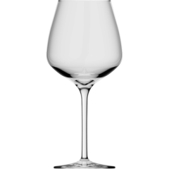1000200480 Vinglas Rastal Exilles 46,7cl
