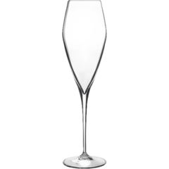 ALB11872 Champagneglas Accademia Luigi Bormioli Atelier 27 cl