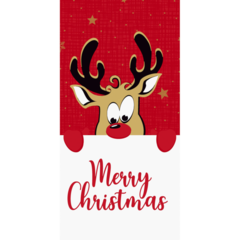 119211626 Duni Dunisoft Bio Rudolf Napkin 1/8 Fold 40x40 cm