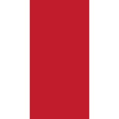 119224224 Napkin 1/8 Fold 33x33 cm Red 3-Ply