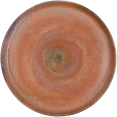 31131 Tallrik Exxent Jupiter Röd