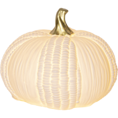 58151 Bordsdekoration Star Trading Pumpkin 4 LED Vit 15x12x15 cm