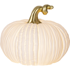58152 Bordsdekoration Star Trading Pumpkin 4 LED Vit 17x15x17 cm