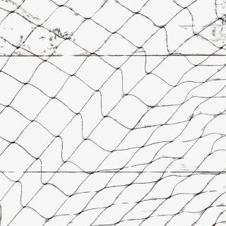 Bird Nets