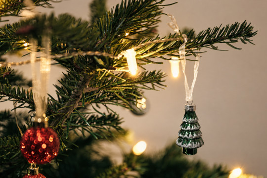 Julgranar för att skapa julstämningen. 