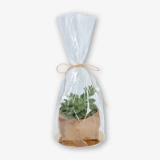 Cellophane bags