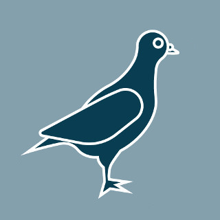 Produkter som håller fåglar borta