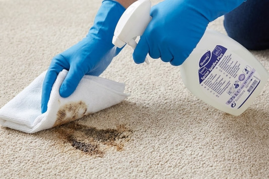 Person med handskar rengör en fettfläck på matta med Taski spray och trasa