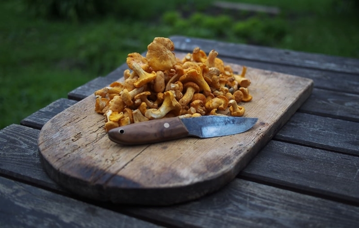 temadagar mat och dryck - September